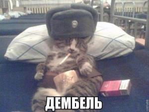 post-52551-0-43608800-1462567898_thumb.j