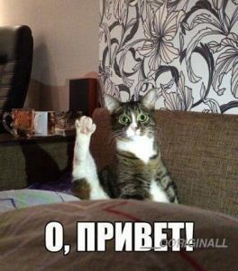 post-52551-0-66484100-1462693608_thumb.j
