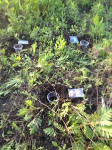 post-55702-0-47588600-1463032009_thumb.j