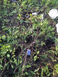 post-55702-0-50232900-1463032010_thumb.j