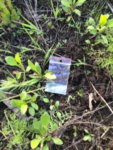 post-55702-0-53842200-1463032003_thumb.j