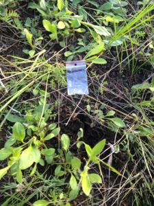 post-55702-0-69362700-1463032029_thumb.j