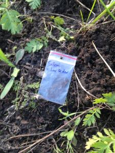 post-55702-0-93601200-1463032004_thumb.j