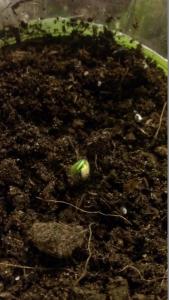 post-57457-0-49158100-1462218031_thumb.j