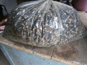 post-2302-0-06453600-1372586667_thumb.jp