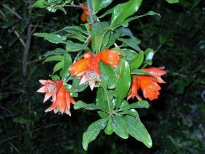 post-3924-0-39748300-1371981383_thumb.jp