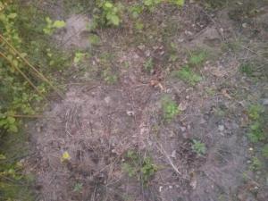 post-20695-0-17051800-1403107394_thumb.j