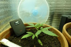 post-22281-0-95792800-1403559723_thumb.j