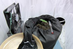 post-22470-0-11973400-1402995393_thumb.j