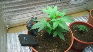 post-25943-0-94571200-1402425673_thumb.j