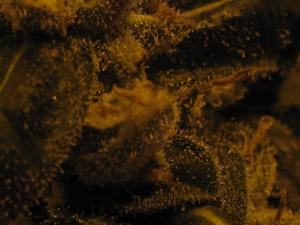 post-4287-0-03432300-1403900245_thumb.jp