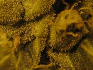 post-4287-0-75374900-1403900318_thumb.jp