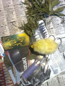 post-14048-0-72571100-1435576022_thumb.j