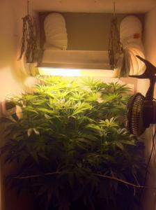 post-3498-0-06574700-1434038726_thumb.jp