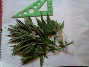 post-37011-0-61945700-1435079800_thumb.j