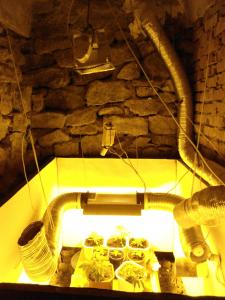 post-44374-0-59606100-1435041704_thumb.j