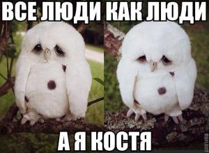 post-52551-0-58730800-1464851549_thumb.j