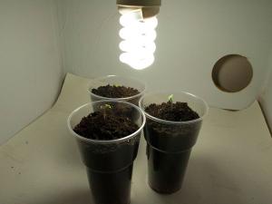 post-10982-0-33429200-1372877920_thumb.j