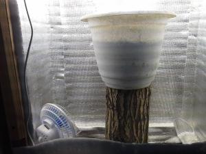 post-12185-0-30357600-1374996455_thumb.j