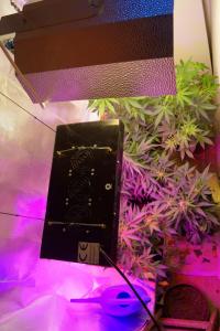 post-1266-0-58713100-1374400079_thumb.jp