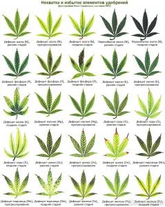 post-11104-0-77618900-1404680658_thumb.j