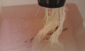 post-1438-0-54403900-1405337240_thumb.jp