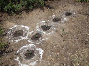 post-19646-0-30992200-1406364254_thumb.j