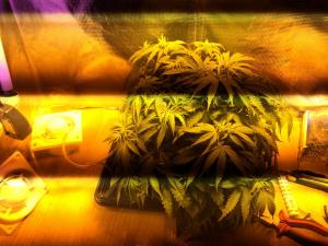 post-24332-0-21507000-1406038510_thumb.j