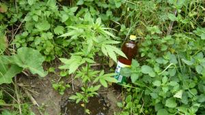 post-8470-0-08239200-1404463407_thumb.jp