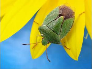 post-9169-0-60450700-1406804324_thumb.jp