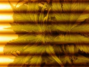 post-10760-0-60588900-1377665953_thumb.j