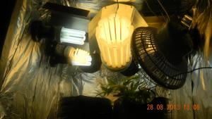 post-11433-0-08211300-1377692674_thumb.j