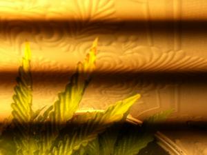 post-13871-0-16234200-1377120933_thumb.j