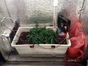 post-18441-0-89222200-1408554960_thumb.j