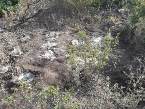 post-19646-0-45964600-1407330912_thumb.j