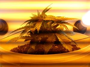 post-32477-0-22377400-1408286116_thumb.j