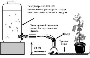 post-39559-0-87621400-1438751840_thumb.j