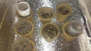 post-14802-0-65960700-1379964026_thumb.j