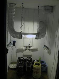 post-6967-0-39533100-1378562113_thumb.jp