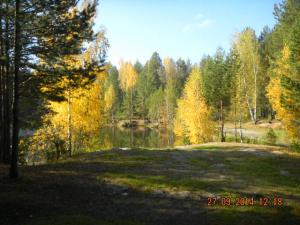 post-11433-0-43418200-1411822581_thumb.j