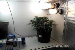 post-33088-0-17122700-1410463111_thumb.j