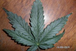 post-33088-0-80332800-1411066932_thumb.j