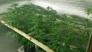 post-5118-0-09852000-1410071262_thumb.jp