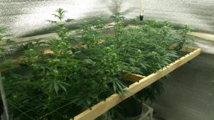 post-5118-0-36611600-1410071276_thumb.jp