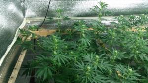 post-5118-0-90994900-1410071021_thumb.jp