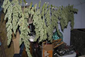 post-33764-0-20345200-1441643951_thumb.j