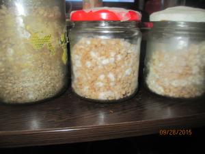 post-44988-0-18169400-1443315352_thumb.j