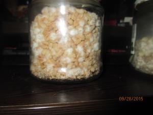 post-44988-0-26511000-1443315354_thumb.j