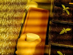 post-6053-0-59634500-1382472741_thumb.jp