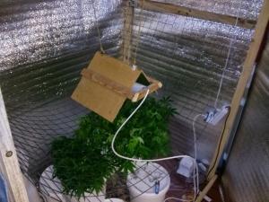 post-30138-0-90334100-1414661115_thumb.j